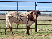 BG Iron Lady ( Margaret Thatcher)